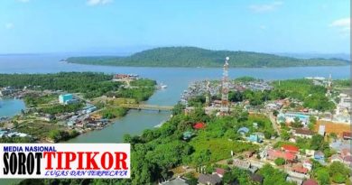 Pulau Sawangi, Surga Tersembunyi di Tanah Bumbu: Eksotisme Hutan Mangrove dan Batu Tebing yang Mempesona