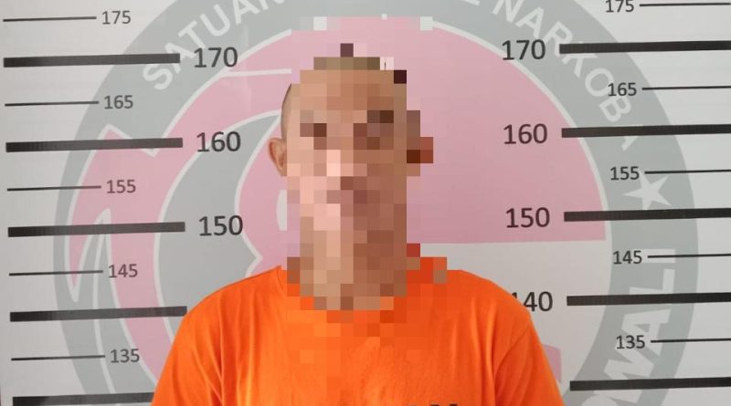 Pengedar Narkotika Di Bahodopi Di Tangkap Polres Morowali Tersangka Terancam   Hukuman Pidana Berat