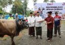 Idul Adha,Kapolres Morowali Serahkan 30 Ekor Sapi Dan 2 Ekor Kambing