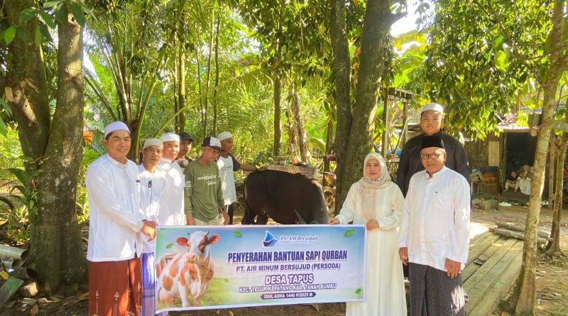 PT. Air Minum Bersujud Tanah Bumbu Tebar Kepedulian di Hari Raya Idul Adha Serahkan Dua Hewan Kurban