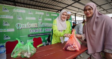 Idul Adha 1446H, DKM PT IMIP Sembelih 18 Ekor Sapi