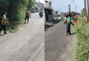 Atasi Potensi Pohon Tumbang Disas PU Lakukan Penebangan dan Pemangkasan Pohon.