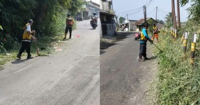 Atasi Potensi Pohon Tumbang Disas PU Lakukan Penebangan dan Pemangkasan Pohon.