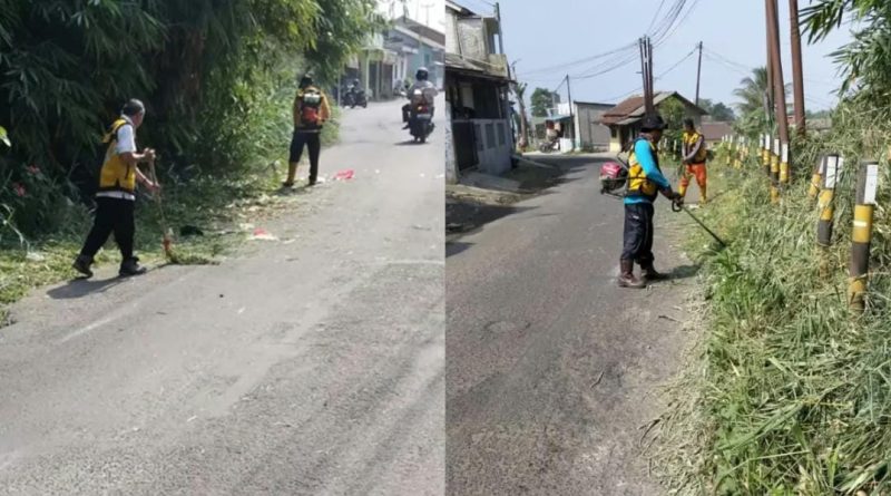 Atasi Potensi Pohon Tumbang Dinas PU Lakukan Penebangan dan Pemangkasan Pohon.