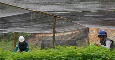BDM Target Reklamasi 1.337 Hektare Lahan Pascatambang