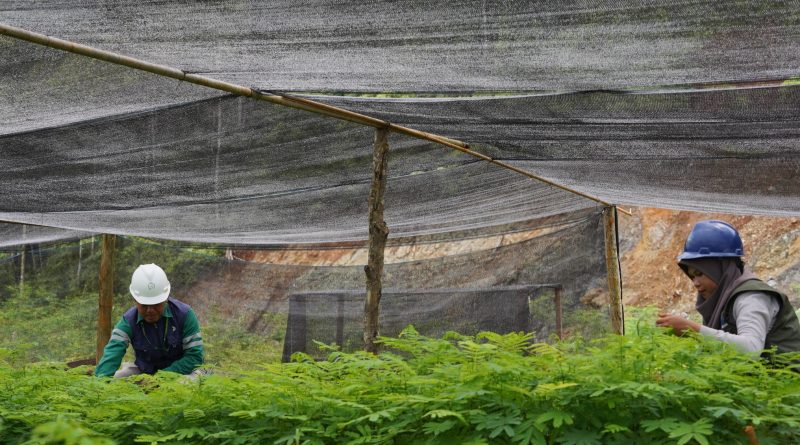 BDM Target Reklamasi 1.337 Hektare Lahan Pascatambang