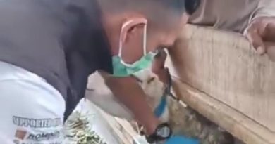 Dinas Peternakan Sukabumi Gelar Layanan Kesehatan Hewan untuk Ternak Domba di Sukaraja