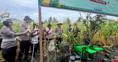 Polres Morowali Bersama Polsek Jajaran  Panen Raya Jagung Serentak Kuartal III