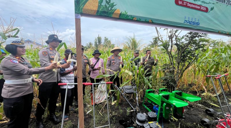 Polres Morowali Bersama Polsek Jajaran  Panen Raya Jagung Serentak Kuartal III