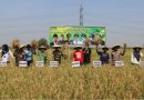 Peringati Hari Tani Nasional 2025, Bupati Imron Ajak Petani Tingkatkan Produktivitas Padi