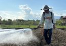 Menghadirkan Manfaat Nyata Bagi Masyarakat, IMIP Dorong Hortikultura Transformasi Lahan Dan Ekonomi Lokal