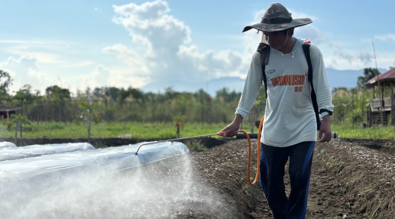Menghadirkan Manfaat Nyata Bagi Masyarakat, IMIP Dorong Hortikultura Transformasi Lahan Dan Ekonomi Lokal