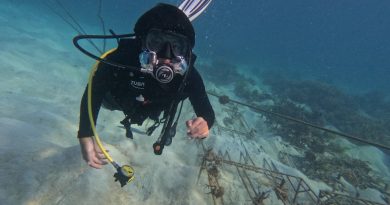 Menjaga Ekosistem Laut Di Pulau Sombori, IMIP Rehabilitasi Terumbu Karang