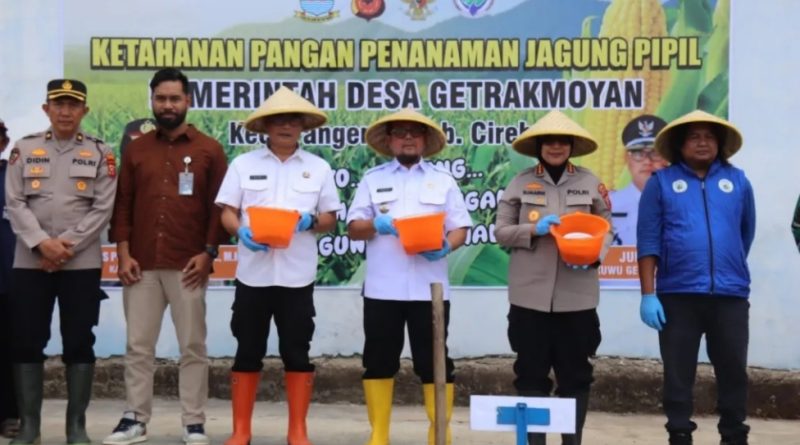 Perkuat Ketahanan Pangan, ‎Pemkab Dan Polresta Cirebon Kolaborasi Tanam Jagung Pipil