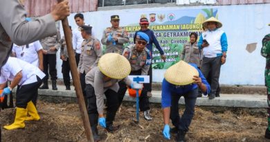 Dukung Ketahanan Pangan, Polresta Cirebon dan Pemkab Cirebon Tanam 404 Hektare Jagung Pipil