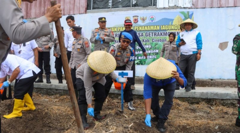 Dukung Ketahanan Pangan, Polresta Cirebon dan Pemkab Cirebon Tanam 404 Hektare Jagung Pipil